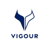 Paraqitja e markës VIGOUR