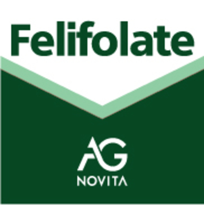 Paraqitja e markës FELIFOLATE AG NOVITA