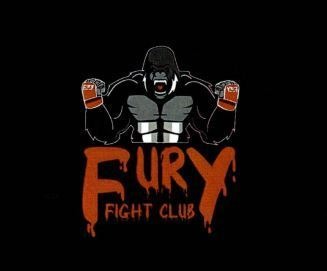 Paraqitja e markës FURY