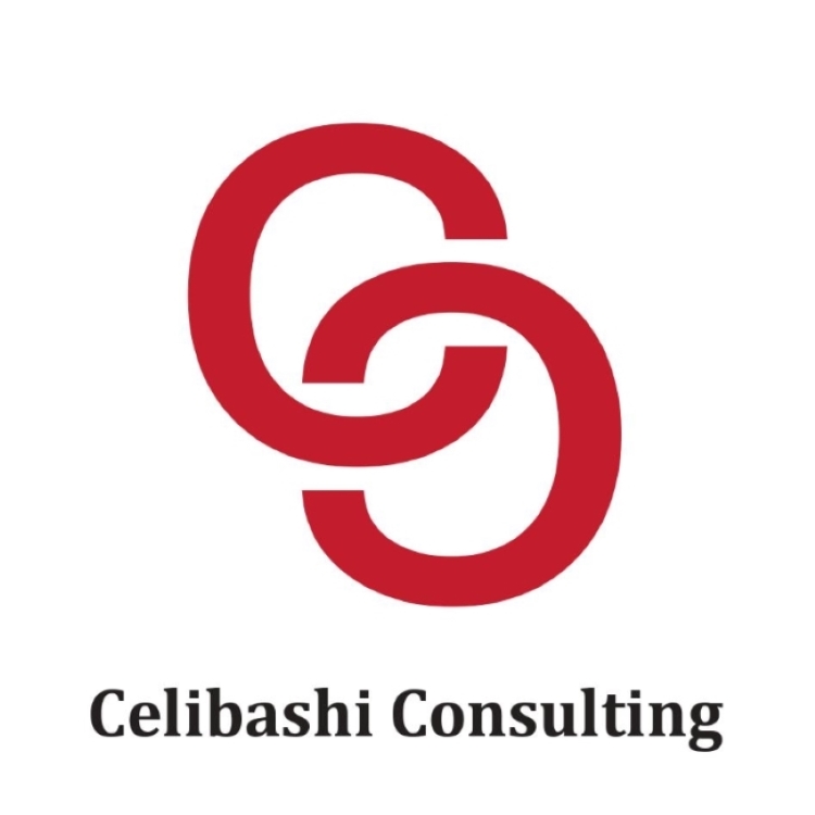 Paraqitja e markës CELIBASHI CONSULTING