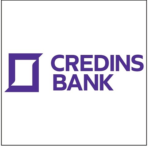 Paraqitja e markës CREDINS BANK