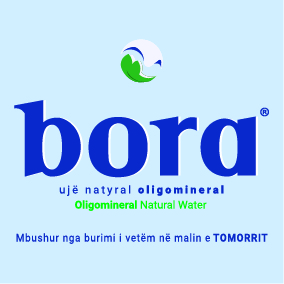 Paraqitja e markës bora