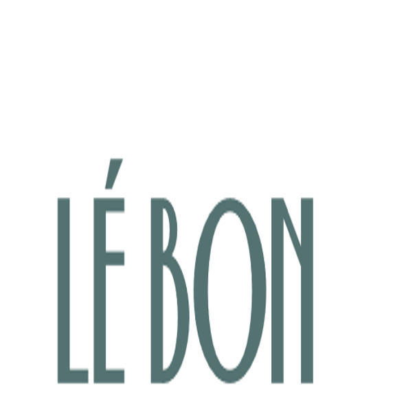 Paraqitja e markës LE BON