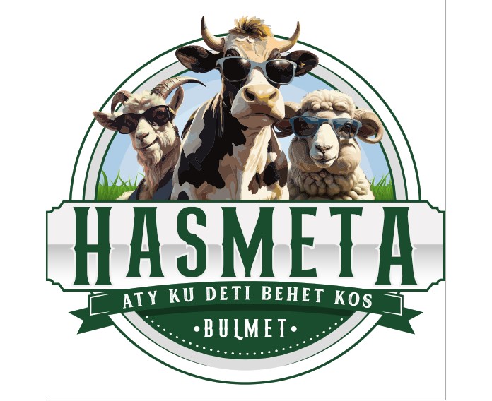 Paraqitja e markës HASMETA