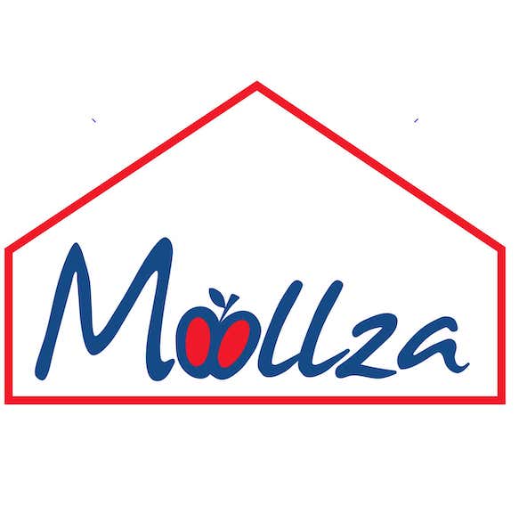 Paraqitja e markës Moollza