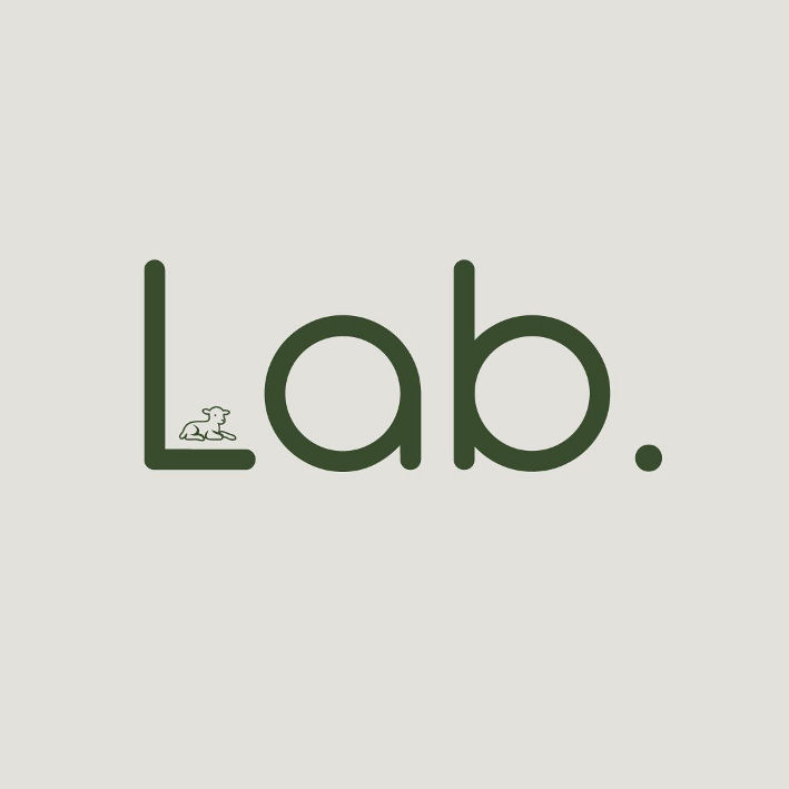Paraqitja e markës Lab.