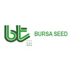 Paraqitja e markës BURSA SEED