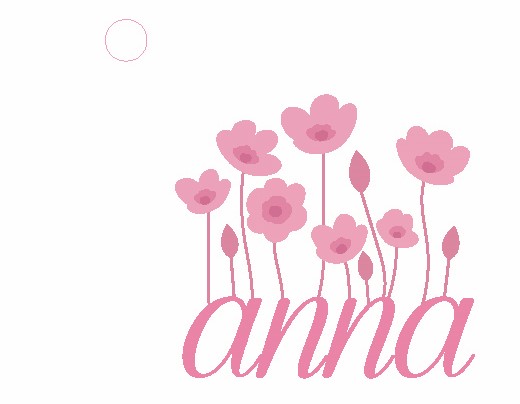 Paraqitja e markës anna