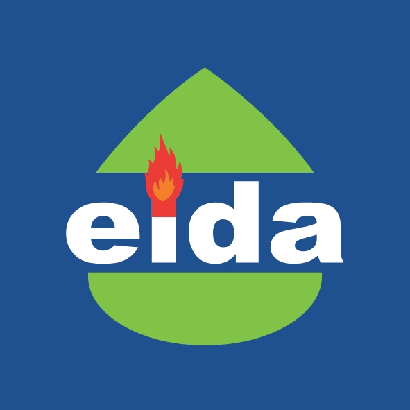 Paraqitja e markës eida