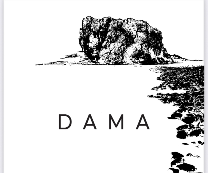 Paraqitja e markës DAMA