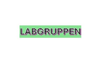 Paraqitja e markës labgruppen