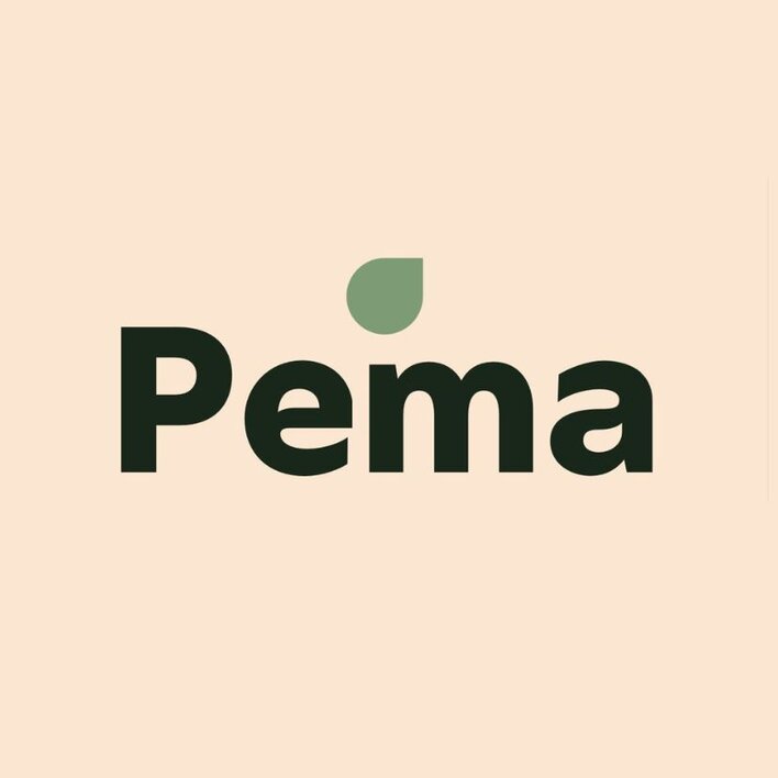 Paraqitja e markës PEMA