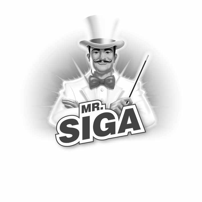 Paraqitja e markës Mr.SIGA
