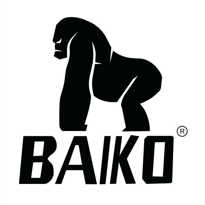 Paraqitja e markës BAIKO