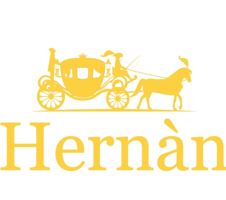 Paraqitja e markës HERNAN