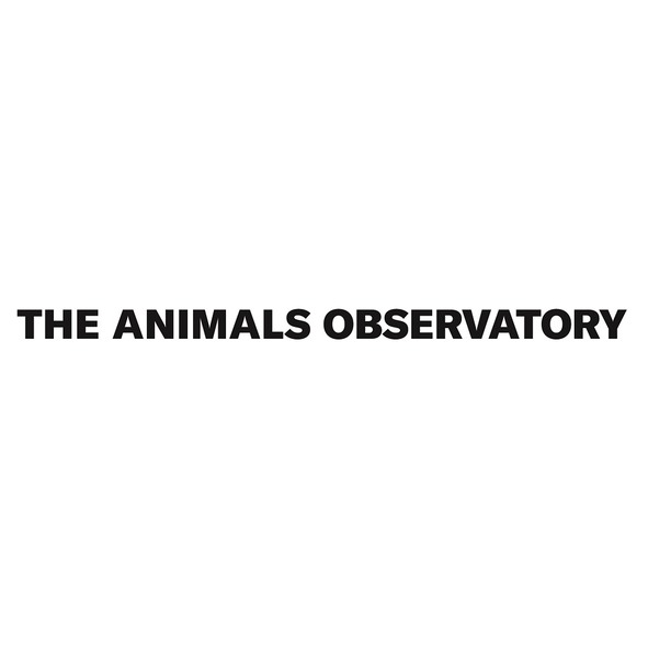 Paraqitja e markës THE ANIMALS OBSERVATORY