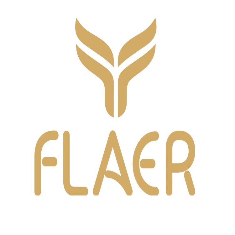 Paraqitja e markës FLAER