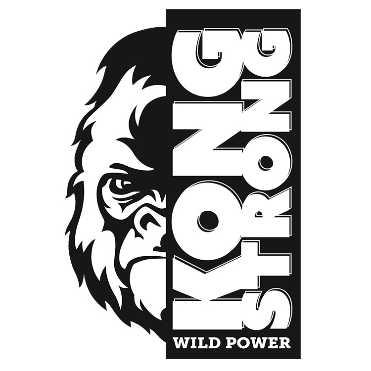Paraqitja e markës KONG STRONG Wild Power