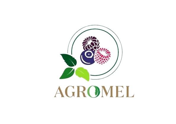 Paraqitja e markës AGROMEL