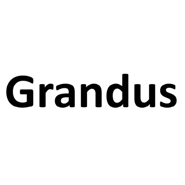 Paraqitja e markës Grandus