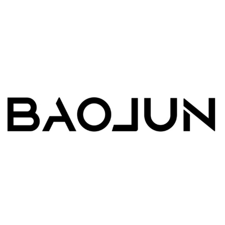 Paraqitja e markës BAOJUN
