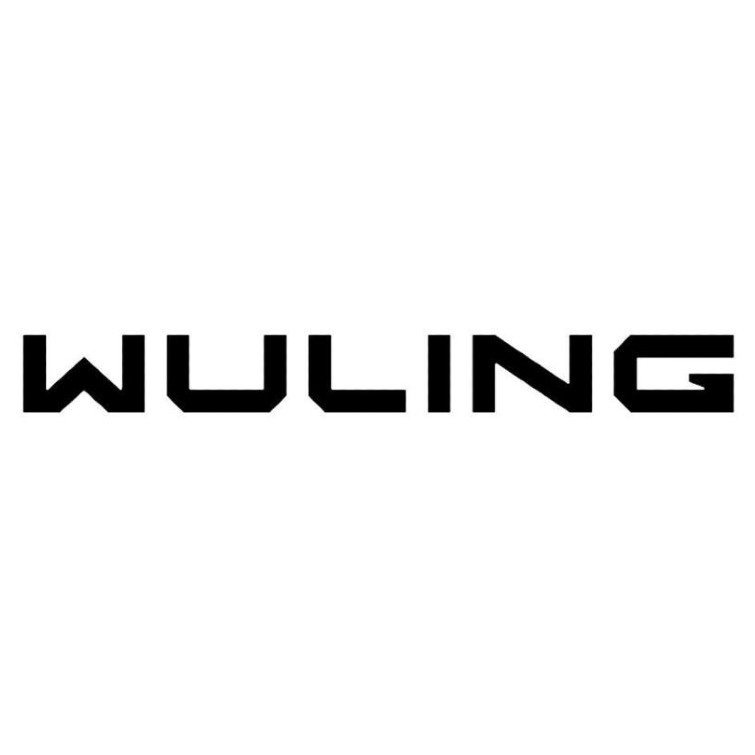 Paraqitja e markës WULING