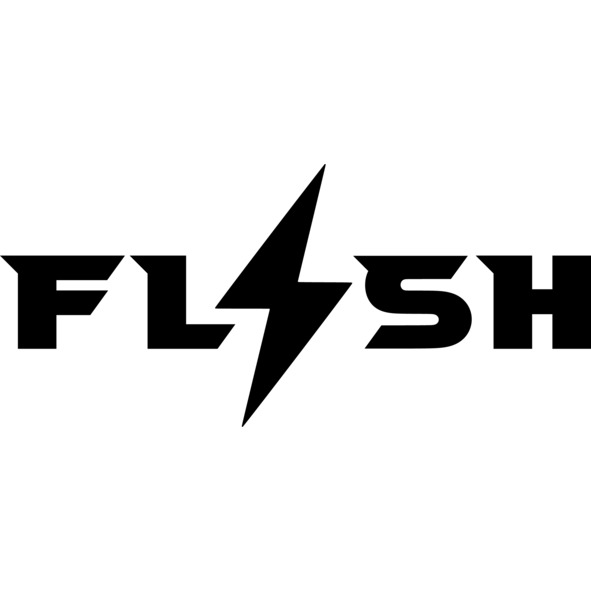 Paraqitja e markës FLSH