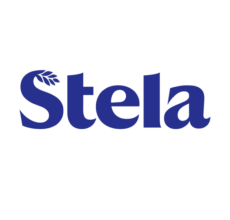 Paraqitja e markës STELA