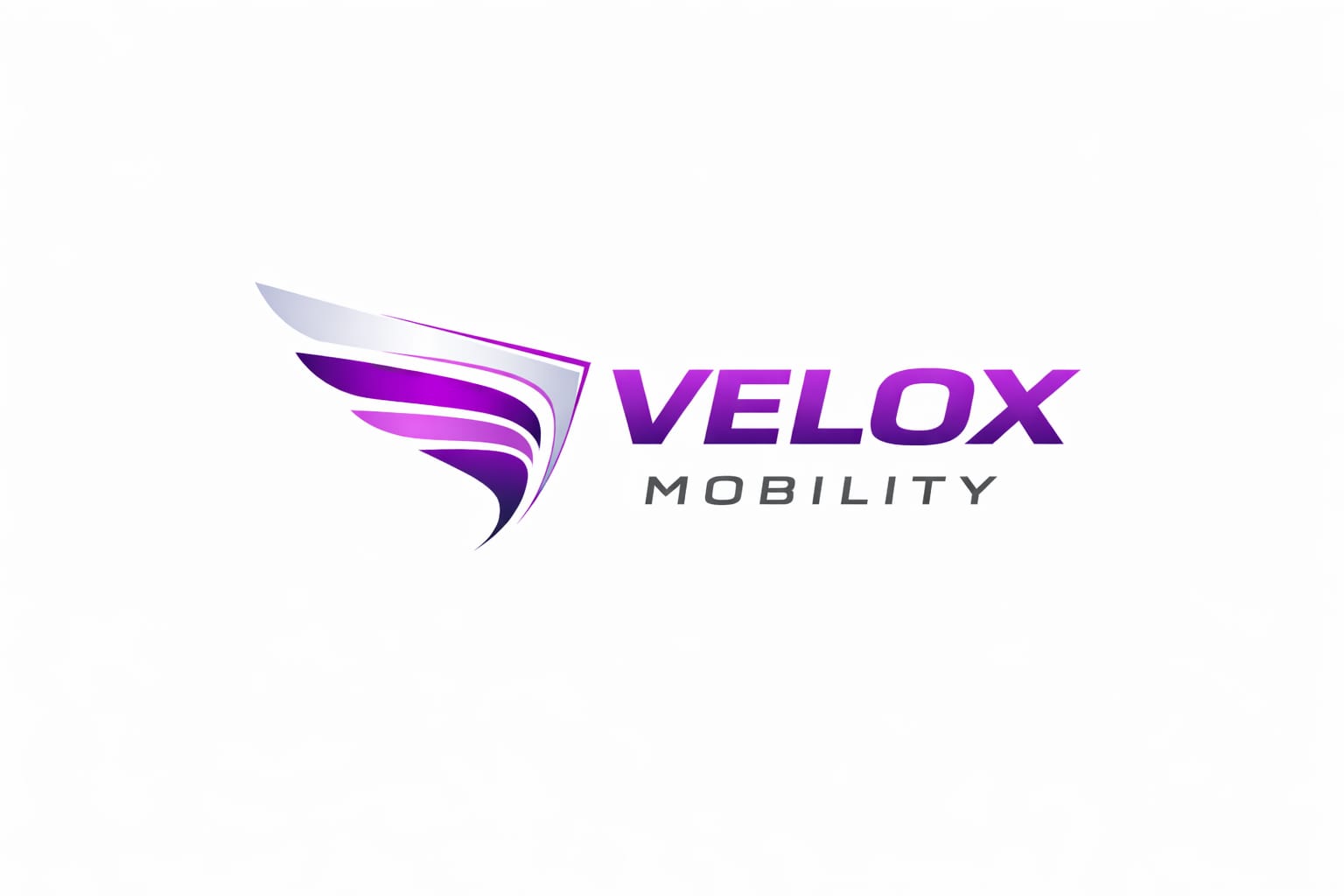 Paraqitja e markës VELOX MOBILITY