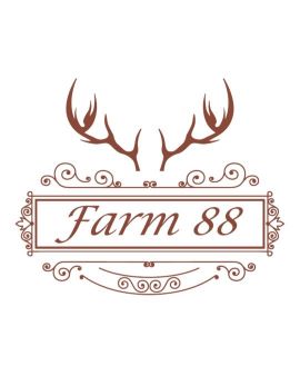 Paraqitja e markës Farm 88