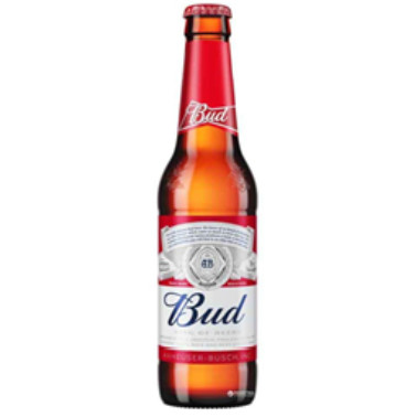 Paraqitja e markës bud