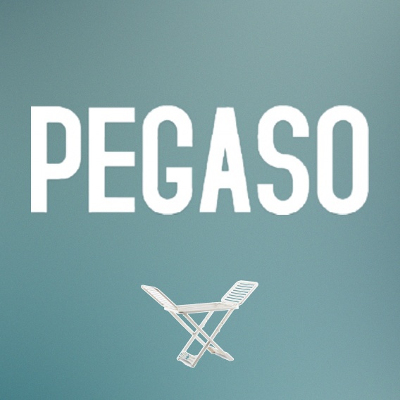 Paraqitja e markës PEGASO