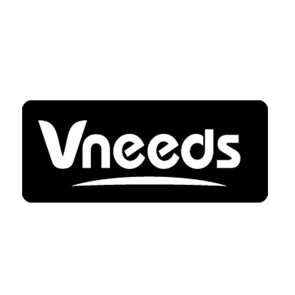 Paraqitja e markës VNEEDS