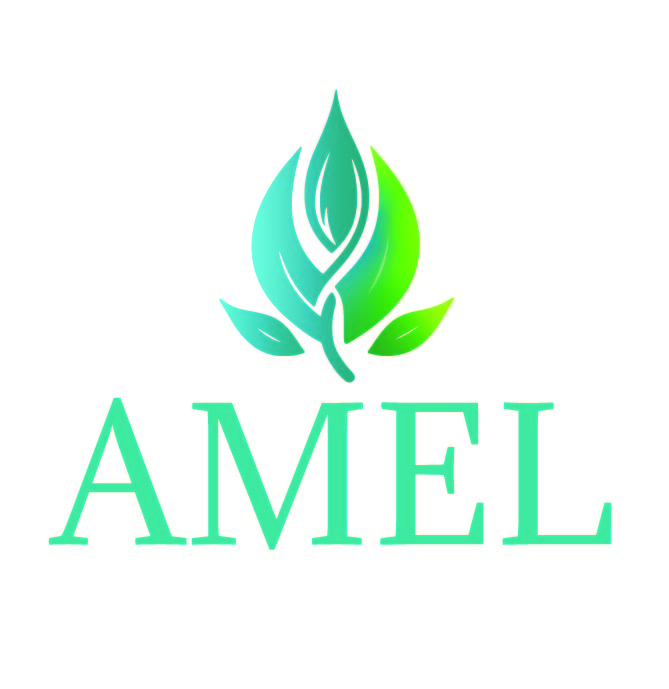 Paraqitja e markës AMEL