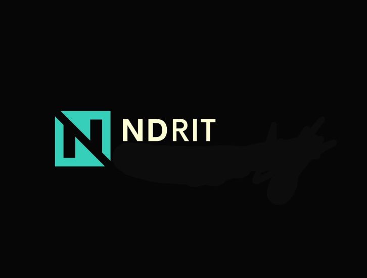 Paraqitja e markës N NDRIT