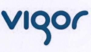 Paraqitja e markës VIGOR