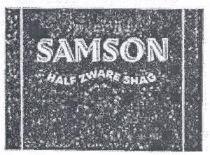 The representation of the trademark SAMSON