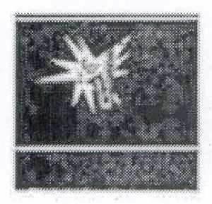 Paraqitja e markës SAK - Label