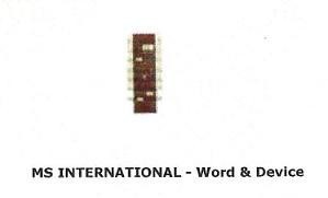 Paraqitja e markës MS INTERNATIONAL- WORD & DEVICE