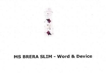 Paraqitja e markës MS BRERA SLIM-FIG.