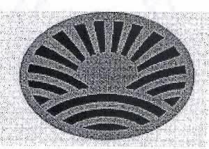 Paraqitja e markës SONNE-FIG.