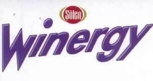 Paraqitja e markës WINERGY