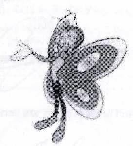 The representation of the trademark Butterfly Device