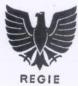 Η απεικόνιση του σήματος REGIE