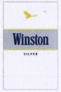 Paraqitja e markës Winston