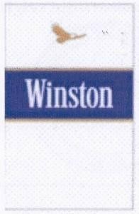 Paraqitja e markës Winston