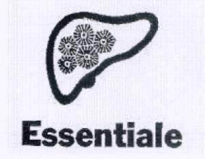 Paraqitja e markës Essentiale