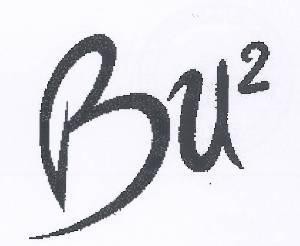 Paraqitja e markës Bu²