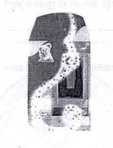 Paraqitja e markës BEAR DEVICE