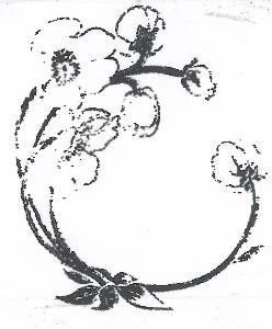 The representation of the trademark Trademark no. 009461